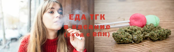индика Михайловск