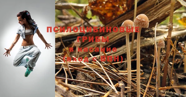 молекула духа Абинск