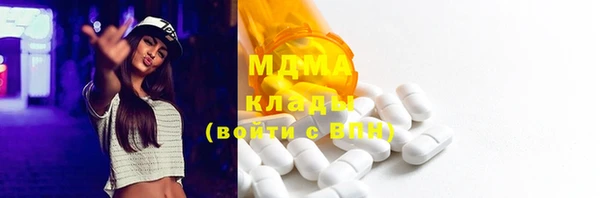 индика Михайловск