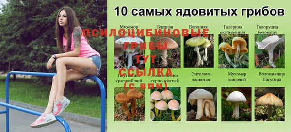мяу мяу мука Михайлов