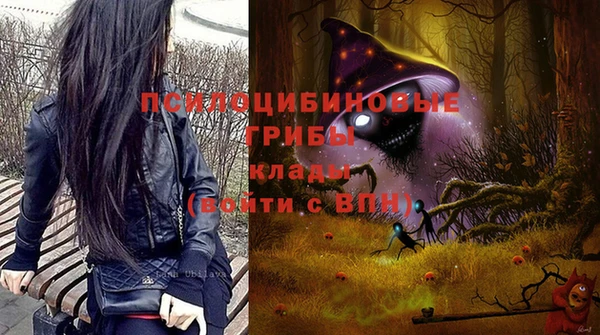 молекула духа Абинск