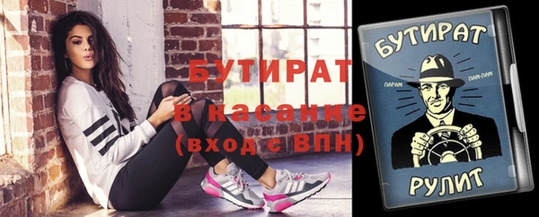 индика Михайловск