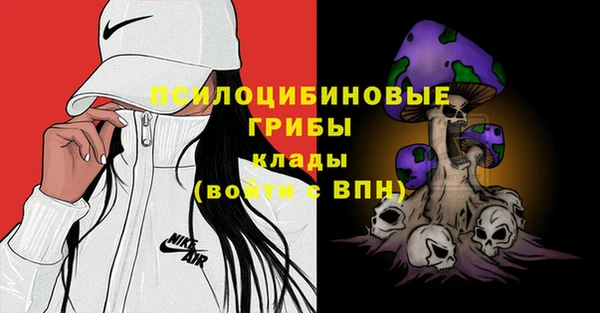 молекула духа Абинск