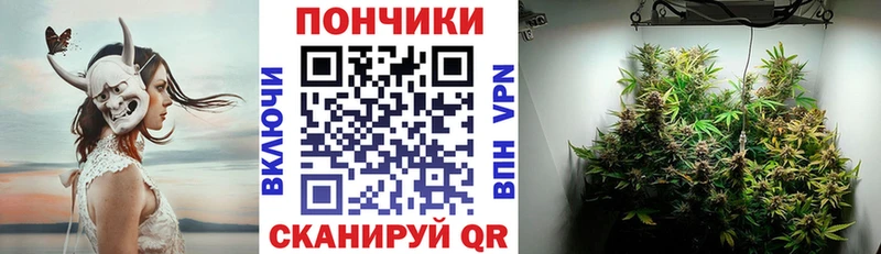 купить наркоту  Нестеровская  мега как войти  мориарти Telegram  Каннабис ГИДРОПОН 